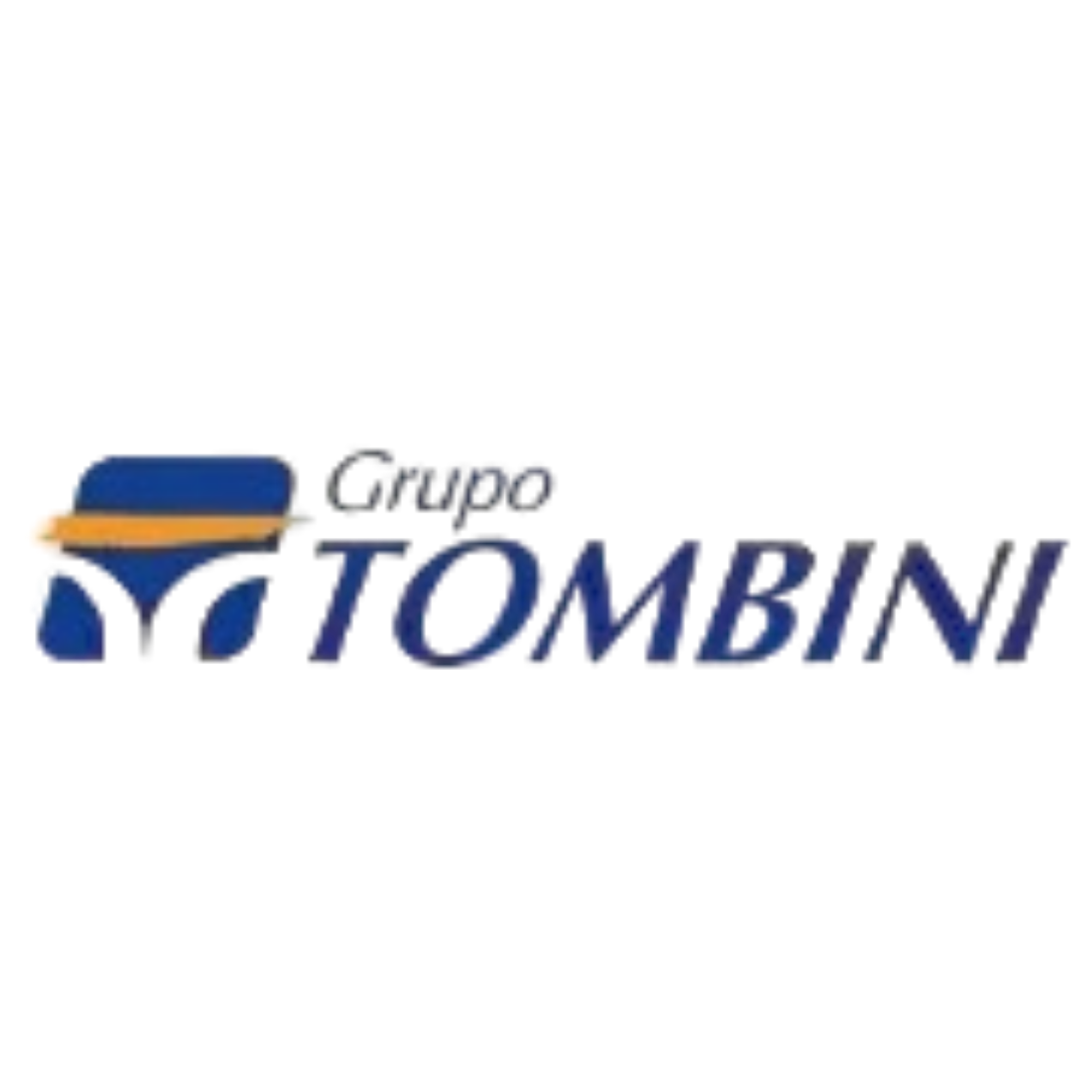 Grupo Tombini